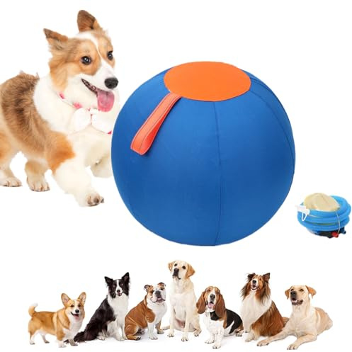 bangminda Pelota de Juguete Gigante para Perros Mascotas Pelota Resistente Juego de Bolas Grandes para Perro Juguete Ejercicio Entrenamiento para Perros Caballos (25 cm)