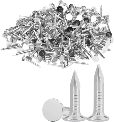 Chiodi per tetti da 20 mm (160 pezzi, 200 g), resistenti, zincati, in feltro, con pratica custodia in plastica