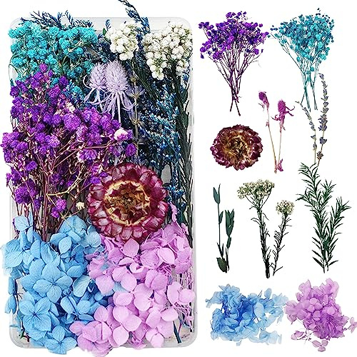 Naturliga torkade blommor för harts naturliga torkade blommor dekorera torkade blommor gör-det-själv smycken ljus nagelkonst hantverk scrapbooking blomdekoration(blå och lila) | Blomhinkar för dekorationer för epoxiharts, bukett torkade blommor Scrapbooking Blomsterdekorationer(blå och lila)