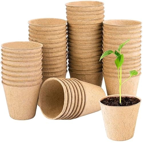 MIKONI Anzuchttöpfe im Set, biologisch abbaubar, für Pflanzen, eckig, Stück Pflanztöpfe, Zellulose, H: 6cm, beige. Papierzellstoff, Pflanztopf, Saattopf, TORF. 6, 8, 10cm