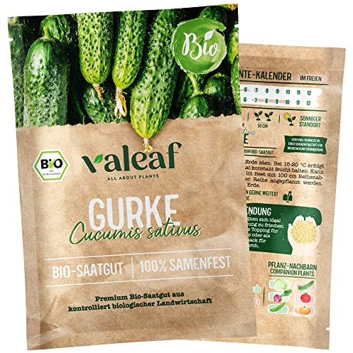 valeaf BIO Gurken Samen I Premium Gurkensamen zur Gemüse Anzucht im Garten, Balkon und Hochbeet I samenfestes Gemüse Saatgut I Pflanzen Samen zum Gemüse Pflanzen