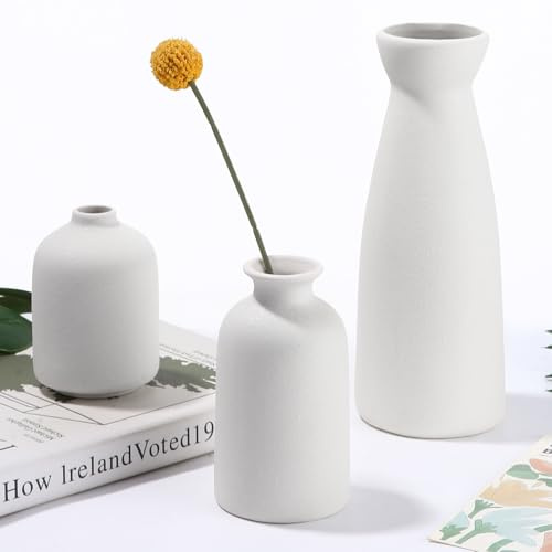 Zaxiva 3 Jarron de Cerámica Blanco, Nórdico Moderno y Minimalista Jarrones Decorativos del Hogar, Florero Ramo de Flores Frescas Secas de Hierba de la Pampa, Decoración Mesa Comedor Pequeña