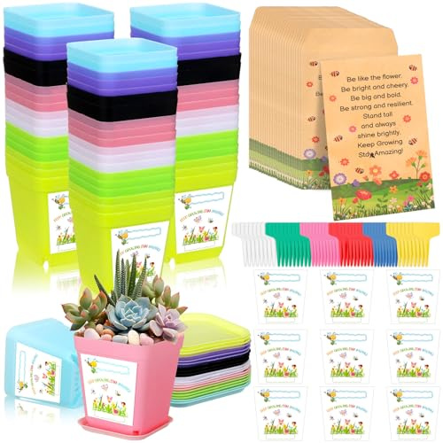 YXSJAS 50 set regalo di fine trimestre per studenti, regali per studenti dagli insegnanti, vaso con vassoi per vasi, bustine di semi di fiori selvatici, adesivi semi non inclusi, etichette per