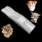 CAOMEI 25/50 Stück 25 x 50 cm Pilzzucht Beutel, Mushroom Spawn Grow Bag Langlebige Beutel, mit Filter, Reißfest und Stark, für Pilze, Pilze, Körner (50pcs)