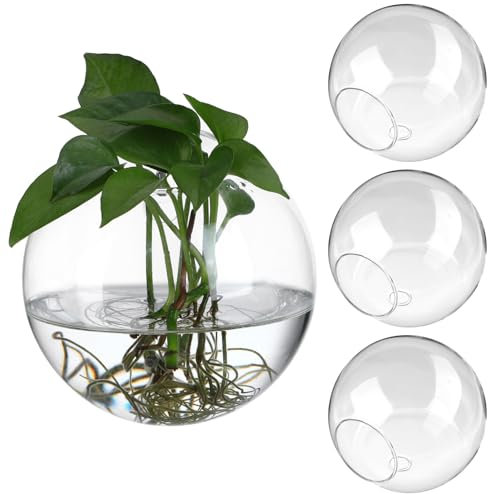 Toddmomy Stazione Di Propagazione Per Fioriera Sospesa A Parete 4 Pezzi Vaso Di Fiori Rotondo In Vetro Terrari Per Piante Contenitore Per Piante Sospeso A Parete Per Piante Idroponiche
