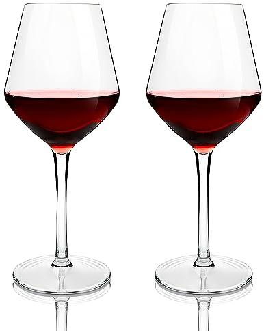 shallyong 2 Stück Weingläser Plastik 425ml, Wiederverwendbare Rotweingläser Kunststoff, Weinglas Kunststoff für Hochzeit, Geburtstage, Party, Grillabende, Camp