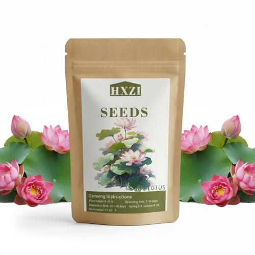 160pcs Lotus Seeds for Planting in Water – Mixed Bowl Lotus Flower, Water Lily Seed for Indoor/Outdoor Ponds, Bonsai, Garden, Aquatic Plants