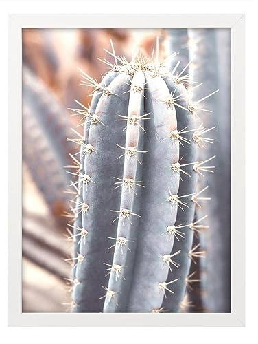 Hama - Marco de retrato, 15 x 20, Negro o Blanco (1 unidad, Modelo Surtido)