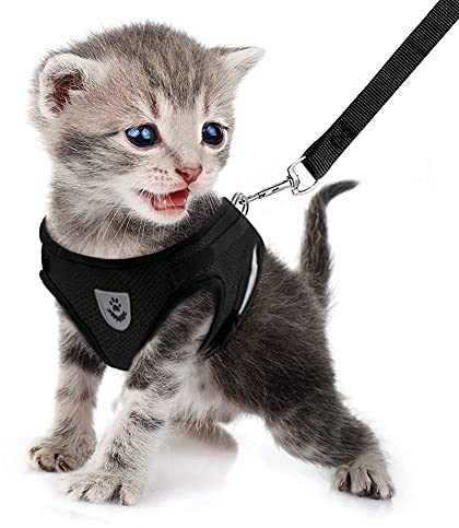 FEimaX Katzengeschirr mit Leine für Hunde Katzen Weich Mesh No Pull Hundegeschirr Reflektierende Verstellbare Atmungsaktive Welpen Brustgeschirr für Gehen Training