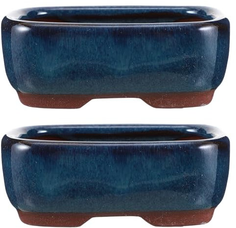 Confezione da 2 vasi da fiori in ceramica con stile bonsai, eleganti decorazioni per la casa e il giardino, per piante da interno o esterno, supporto alto per fiori da pavimento (blu, taglia unica)