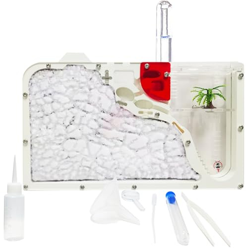EXBEPE Sand Ant Farm Castle for Kids,Large Ant Habitat to Study Insect Behavior,Ant Colony Ecosystem Science Educational Gift for Classroom