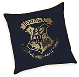 Herding Cojín Suave de Felpa sintética de Pelo Corto Velboa con diseño de Harry Potter, 40 x 40 cm, 100% poliéster