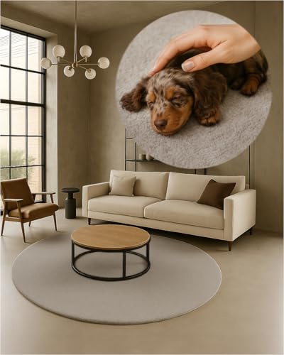 TEXMAXX Weicher Kurzflor Teppich Wohnzimmer mit rutschhemmender Rückseite (180 x 180 cm Rund) - Modern für Flur, Esszimmer und als Schlafzimmer Teppich in Beige - Waschbar bis 30 Grad