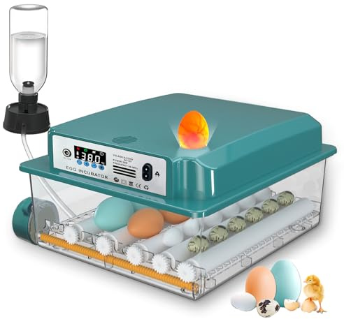 CoInceptus Brutautomat Vollautomatisch, Inkubator Hühner 12-16 Eier mit Automatischem Eierwenden und Automatischer Wasserzugabe, Brutkasten Hühner für Hühnereier, Wachtel und Enteneier