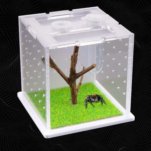 Caja de cría de acrílico de araña, Terrario transparente de tarántula, Caja de alimentación de araña de salto, Jaula de contenedor de incubación de hábitat de insectos