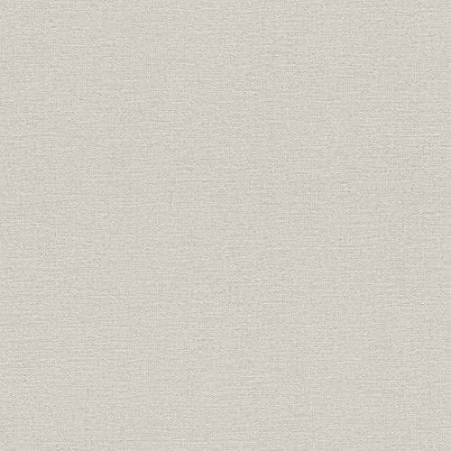 Rasch Papier peint intissé 452013 de la collection Kalahari - Gris clair - Structure textile - 10,05 m x 53 cm (L x l)