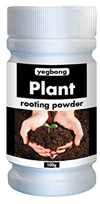 Polvere per radici per talee, Booster per radici per piante, Uso generico per radicazione di piante, Fertilizzante per radici per trapianto di alberi per allevare piantine e alberi da frutto Blue fish