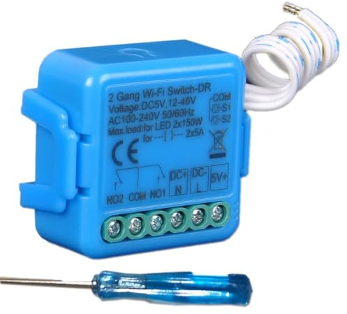 Modulo Relè WiFi Smart, WiFi Dry Contact Relay Module,Interruttore Intelligente DC 12-48V/AC 100-240V, Compatibile con Alexa e Google Home (2 Channel) TUYA Smart Life App