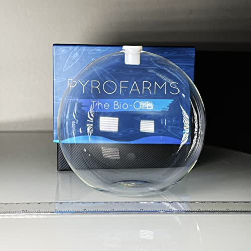 Jarrón de esfera de cristal de 15 cm con fondo plano para exhibición de líquidos, plantas o arena (6 pulgadas)