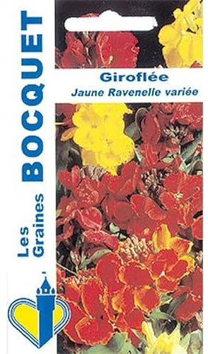Sachet de graines de Giroflée ravenelle variée - 1,5 g - fleur vivace - LES GRAINES BOCQUET