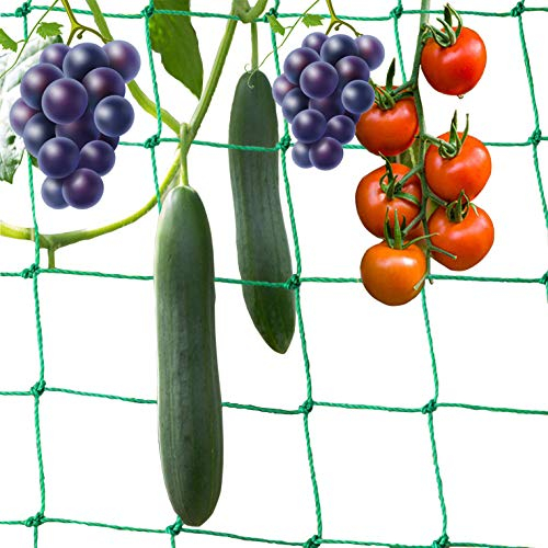 5 * 2M 36 Stränge Ranknetz kletterpflanzen Rankhilfe pflanzennetz 10 * 10CM Maschen Polyethylen für Tomaten Kletterpflanzen Gurken Gewächshaus Anderen Gemüsepflanzen Rankhilfen für Kletterpflanzen