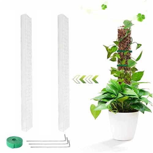 Granmagazz Palo di Muschio in Plastica 24 Pollici Moss Pole Con 2 Pezzi, Cinturino, 3 Chiodi