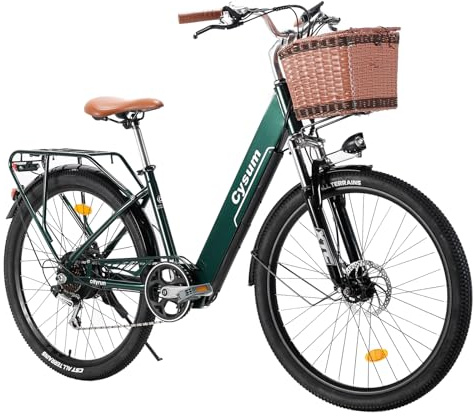 Antgooat Bicicletta elettrica Cityrun Ebike Bicicletta elettrica a pedalata assistita 26 Bicicletta da donna 36V*10Ah Bicicletta unisex (Green)