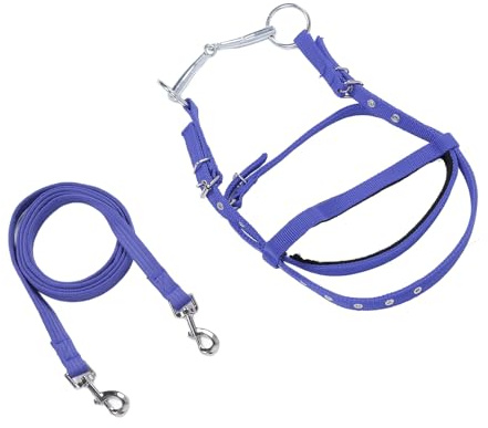 CHICIRIS Corda per Briglia per Cavallo, Redine Regolabile in Nylon per la Testiera con Elegante Design Elastico per l'addestramento Equestre e Il Controllo della Guida (S)
