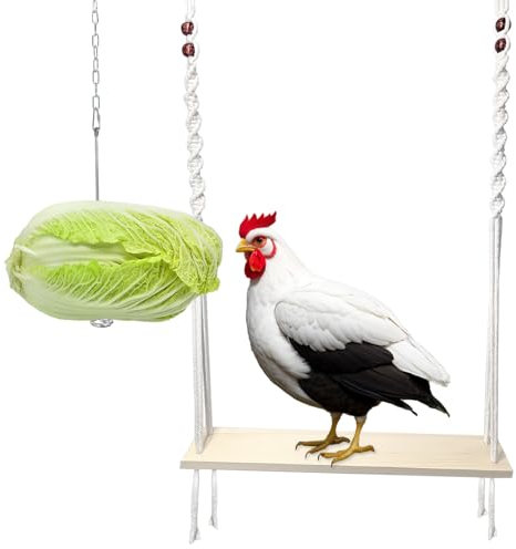 HahaMagic, Altalena per Galline con Mangiatoia Appesa, Pino Naturale e Corda Intrecciata a Mano, Giocattoli per Pollaio, Accessori Ideali e Regalo Originale per Appassionati di Avicoltura