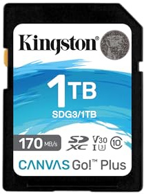 Kingston Canvas Go! Plus SD card 1TB SDXC 170R C10 UHS-I U3 V30
