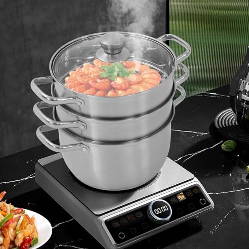 Pentola a vapore in acciaio inox, con inserto a vapore, per diversi piani cottura, come fornelli a gas, a induzione, argento, acciaio inossidabile