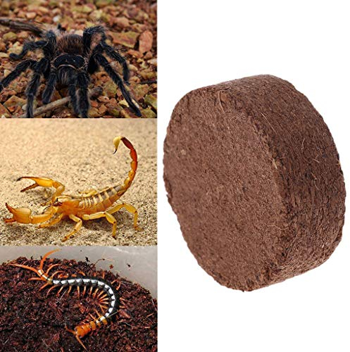 Haven shop 6 Block Kokos-Streu für Reptilien, Reptilien, Kokosfasern, Substrat, Ziegelsteine, natürliche Einstreu, Erde für Terrarien, Kokosfaser, Kokosgemund, Humus Torfffrei