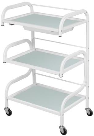 Beauty Salon Trolley Beauty Salon Cart 3 Tier Beauty Trolley Metal And Glass Salon Trolley Movable Trolleys Rolling Cart With Wheel Beauty Salon Cart Salon Trolley Cart Hairdresser Cart Rolling Cart(C