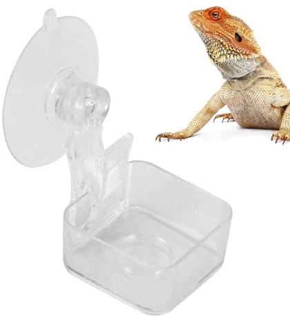 Reptilfoder - 1,57 x 1,57 tum (1,57 x 1,57 tum), små reptiler vatten, reptilfoder | Suction Cup Reptile Food Dish | Habitat Decoration | Pet Water Container Tray for Lizards, Spider, Tree Frogs