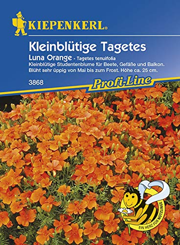 Kiepenkerl 3868 Kleinblütige Tagetes Luna Orange (Tagetessamen)