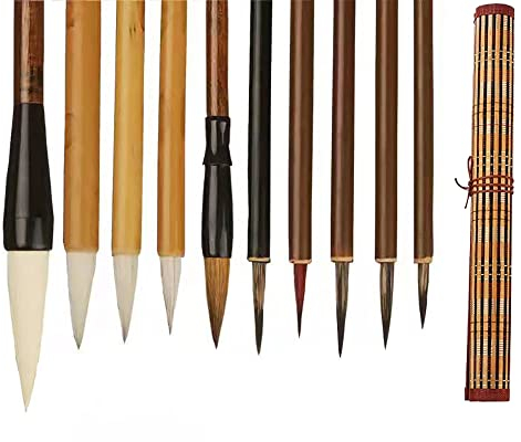 AOMAYLL Chinesische Pinsel professionelle Kalligraphie,Schreibpinsel,mit zum Schreiben Zeichnen,Ein Satz mit 10 Pinsel(mit Pinseltasche) (A)
