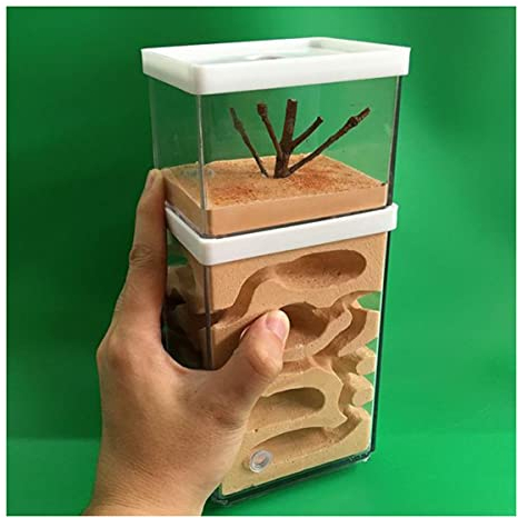 Ameisennest Natürliche Gips Ant Nest Ameisenfarm Ameisen Villa Formicarium Ameisenfutter Farm Haus Ameisen Zucht Box Ant House Für Ameisen Fütterung Habitat