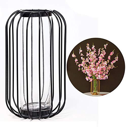 Desktop-Glasvase mit Metallrahmen, Moderne Tischplatten-Pflanzen Terrarien mit Reagenzglas, Moderne Kreative Hydroponik-Vase, Herzstück-Pflanzen Vase (2)