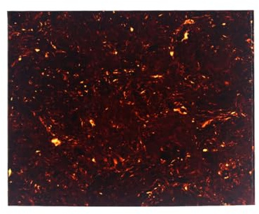 FLEOR 20X17cm Akustische Schlagbrettrohlinge Materialblatt Selbstklebende Backing Scratch Plate für Akustikgitarrenschnitt Pick Guard Größe, Brown Tortoise Shell