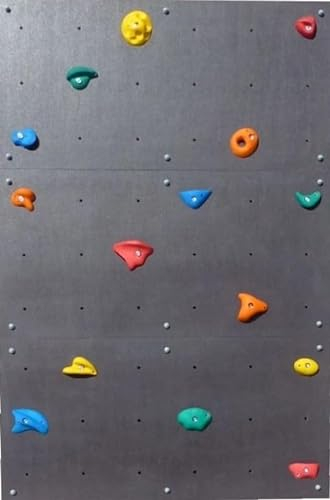 Create for you Kletterwand Outdoor Kinder + 5 Klettersteine - Schwarz Kletterwand Kinder Outdoor - Boulderwand für Garten, Holzhaus, Spielplatz, Wasserfest 120x60 cm