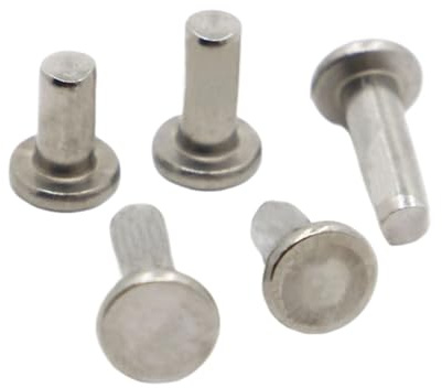 LIUCH 5-50 pezzi GB109 M2 M2.5 M3 M4 M5 M6 A2-70 304 acciaio inossidabile testa piatta tonda rivetto solido auto-tappante rivetto a bussare chiodi(M5 10pcs,16mm)