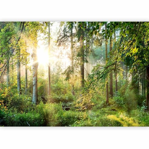 murando - Carta da Parati Adesiva 294x210 cm Fotomurali Adesivi Murali Rivestimento Parete Moderna per Pareti Adesiva Muro Decorativo Fotomurale Soggiorno Paesaggio Natura Albero