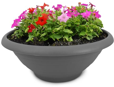 Macetero y platillo como macetero resistente a la intemperie con agujero, maceta redonda de 50 cm en color gris como maceta resistente a las heladas para exteriores, grande