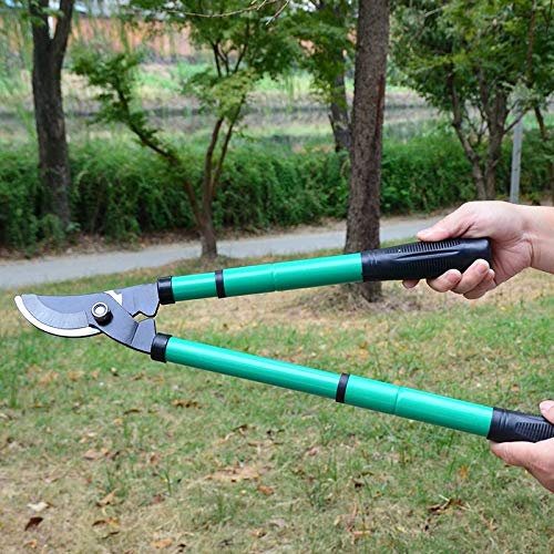 ATAAY Potatore Potatore Cesoie 60 cm Telescopico Potatura Troncarami Giardinaggio Cesoie per Alberi Potatore Rami Trimmer Strumento di Taglio Arbusti Taglio Recinzione Cutter Forbici per la potatu