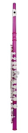 Flauto Traverso In Do A 16 Fori Con Chiave In Mi Strumento A Fiato Professionale Flauto Traverso In Cupronichel Con Chiave Chiusa Kit Per Principianti(Rose)