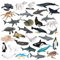 JOKFEICE Figure di animali 32 pezzi Plastica realistica Figurine di animali dell'oceano Giocattoli per l'apprendimento, Cake Topper Regalo per la festa di compleanno per bambini