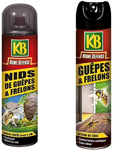 KB Aérosol Nid de Guêpes Longue Portée 500 ml & Aérosol Guêpes et Frelons 400 ml