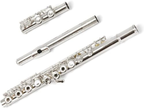 LABLADUO Flöjt, flöjter musikinstrument 16 hål E-nyckel öppen C-Tune koppar vit förnicklad flöjt öppning och stängning dubbel användning flöjt instrument