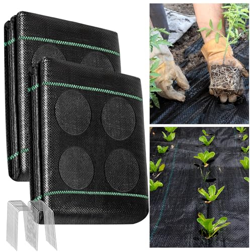 warmfarm Telo per piante erbacce da 1,2 x 7,6 m, resistente con fori, tappetino per il giardinaggio con blocco di erbacce, telo da giardino per il controllo delle erbacce, copertura del terreno in