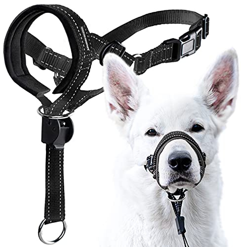 GoodBoy Dog Head Halter with Safety Strap - Stops Heavy Pulling On The Leash - Padded Headcollar for Small Medium and Large Dog Sizes - Head Collar Training Guide Included (Size 2, Black)